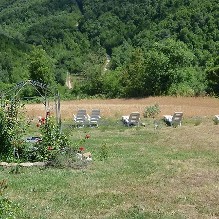 Acqua